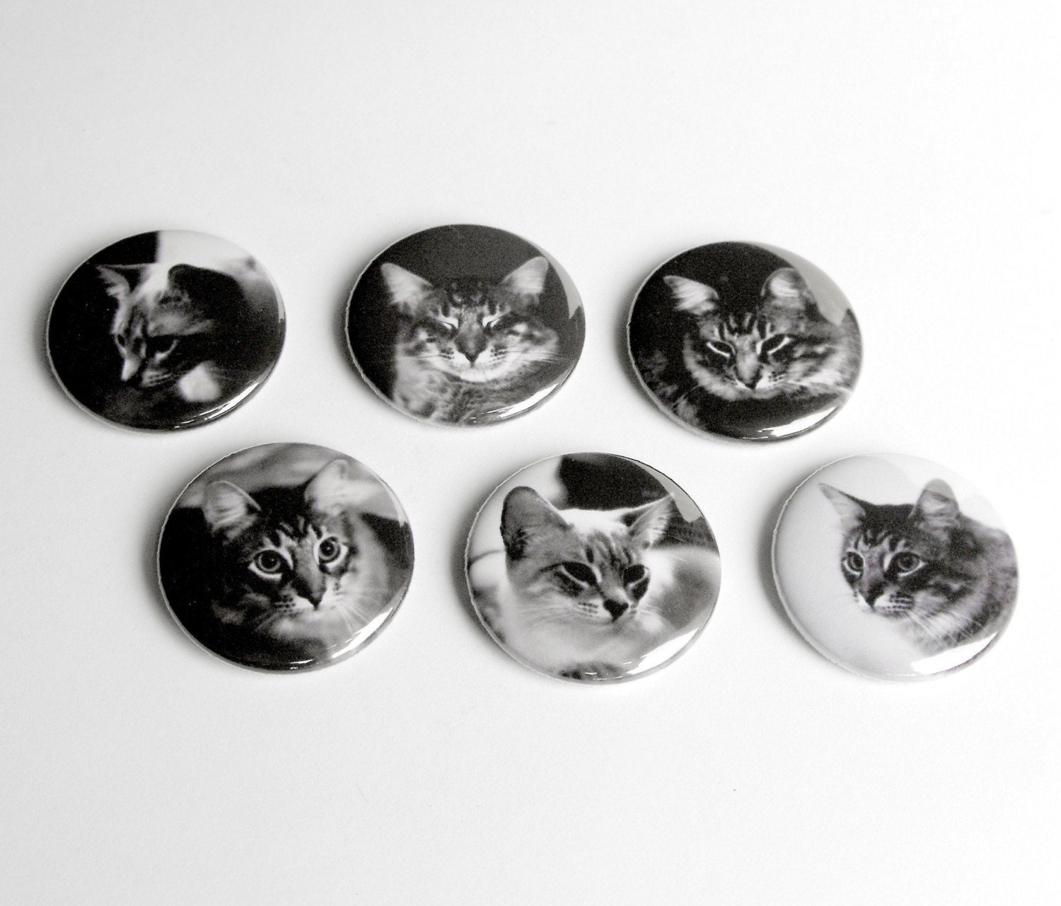 Cat Button Magnets