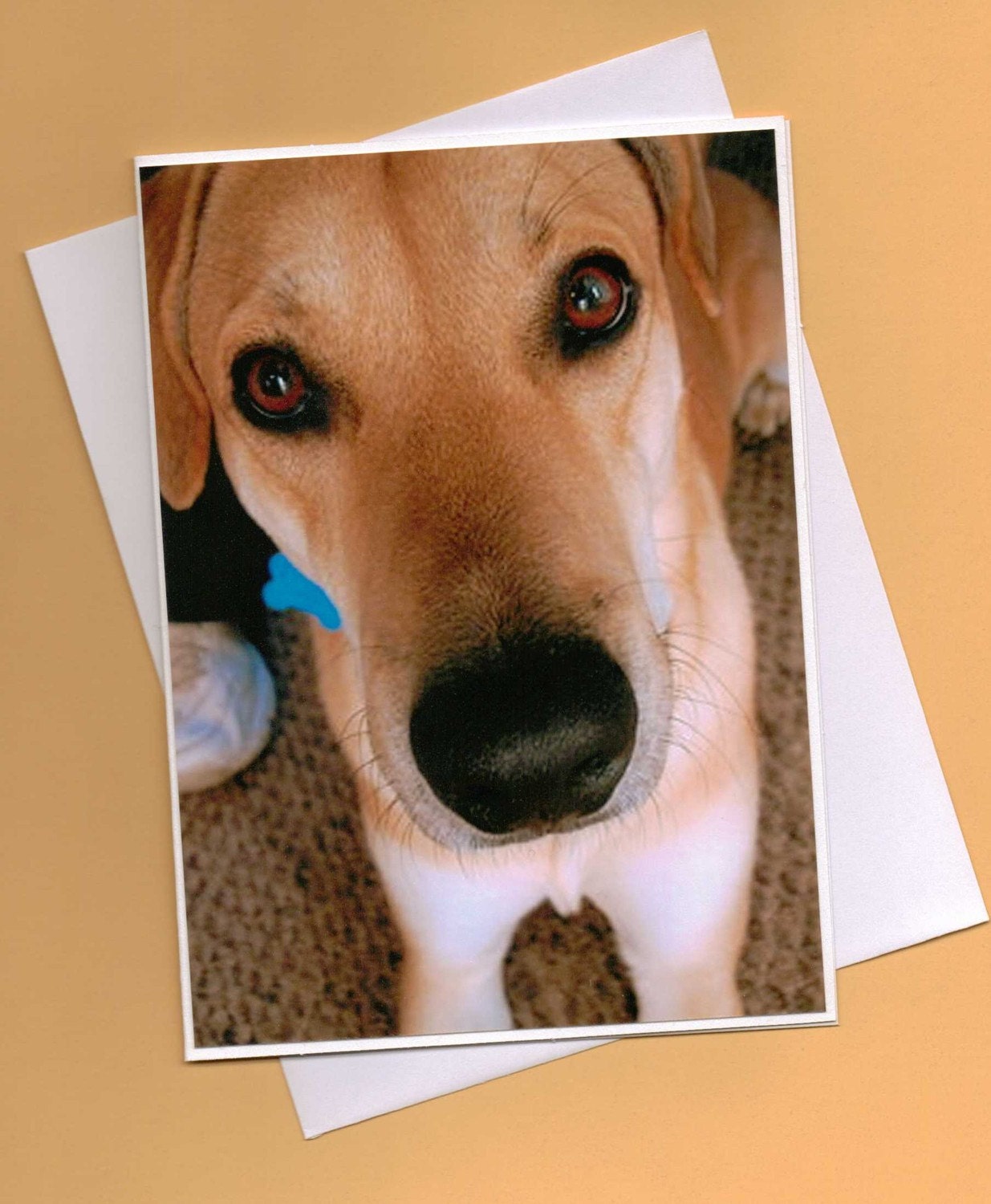 Handmade Greeting Card Husky Lab Mix Dog for Dog Lovers