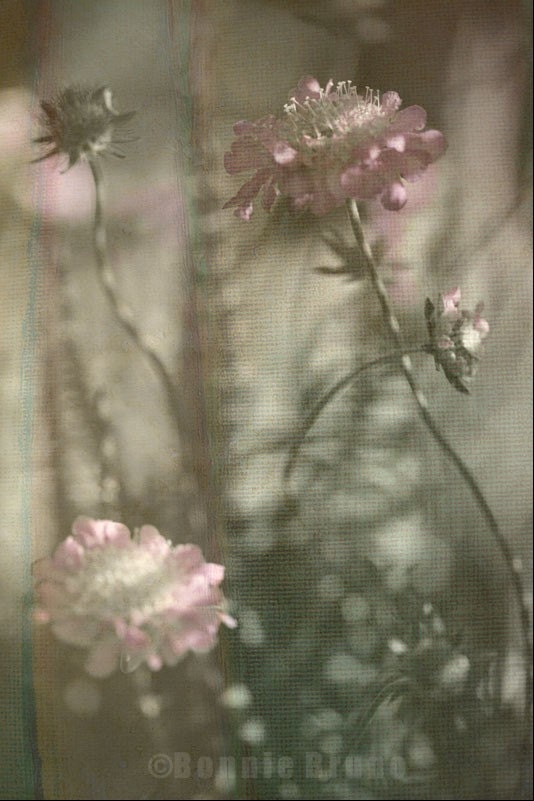Memory Maker 11x14 Fine Art Photo Collage