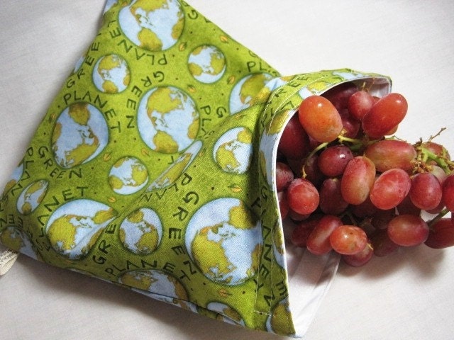 Green Planet Large Wet Storage Bag, reusable