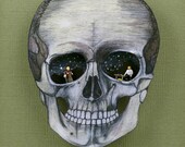 Skull Anatomy