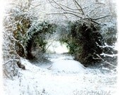 Narnia Gateway to another world 8x8 Fantasy Fine Art Photo, Snowy tree tunnel, fairytale