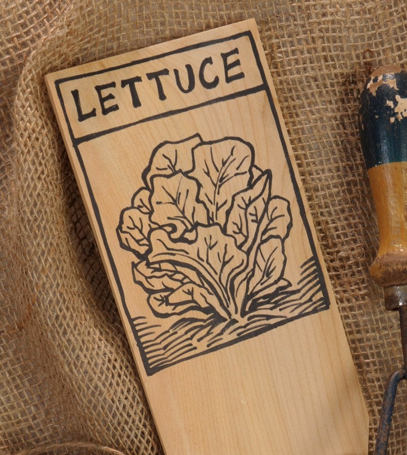 Hand-DRAWN Garden Marker for Lettuce