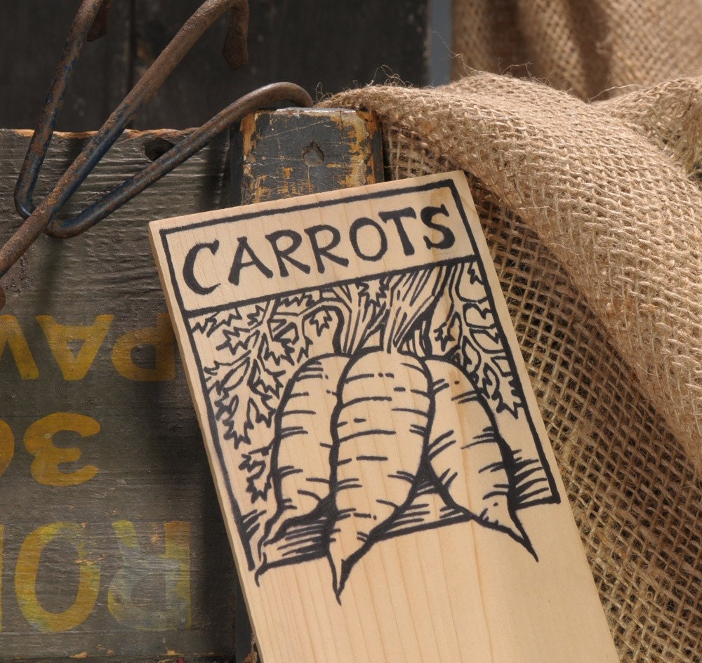 Hand-DRAWN Garden Marker for Carrots