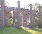 Morning at Old Sheldon Church, South Carolina - An Original Photograph by Melissa Schneider