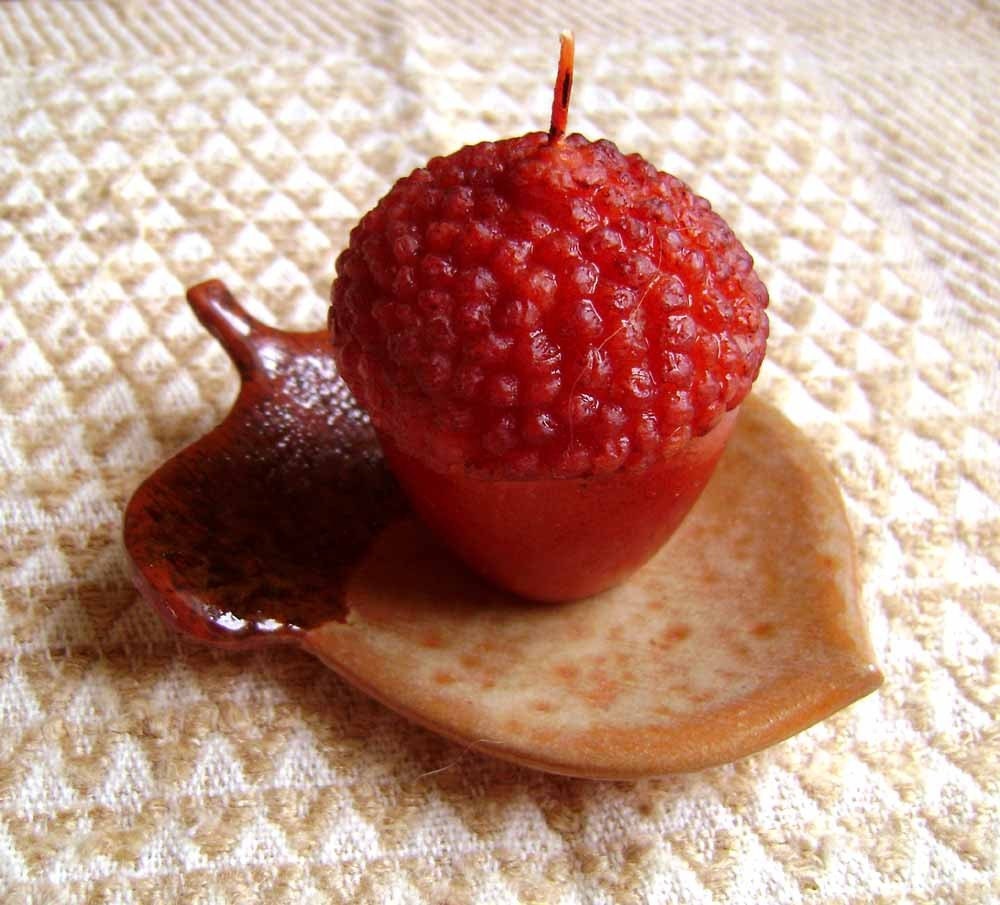 Acorn Ceramic Madge Dish