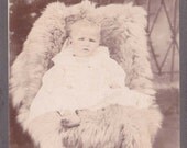 Wonderful Antique Matted Photograph from the Late 1800s-164