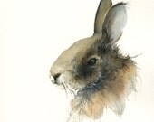 Rabbit - Archival Print, rabbit art, nature, watercolor
