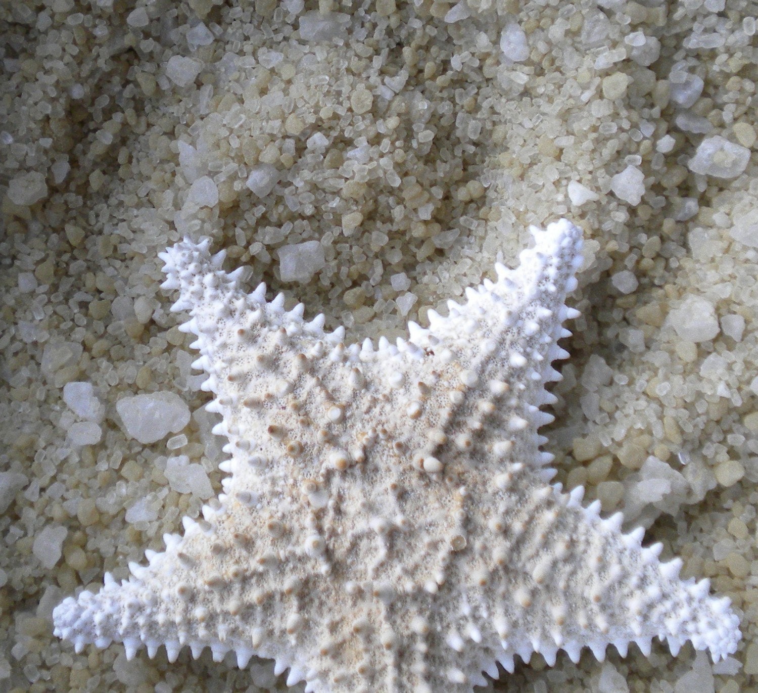 Aromatherapy "Ocean Mist" Organic Bath Salts. De-Stress. De-tox. Deluxe