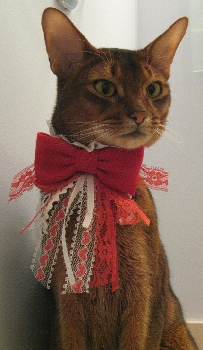 Valentines Day Bow tie with lace ribbons