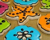 Colorful Sea Shell Hand Decorated Sugar Cookies