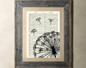 Dandelion(Flying Seeds) - Printed on a Vintage Dictionary Page 8X10