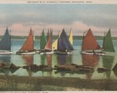 Rainbow Fleet Becalmed, Nantucket postcard. Gardiner Nantuckrome