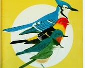 Vintage 1988 How-to Book PAINTING SONGBIRD CARVINGS Anthony Hillman