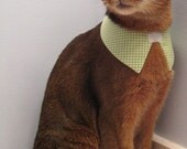 point collar in choice of color or print
