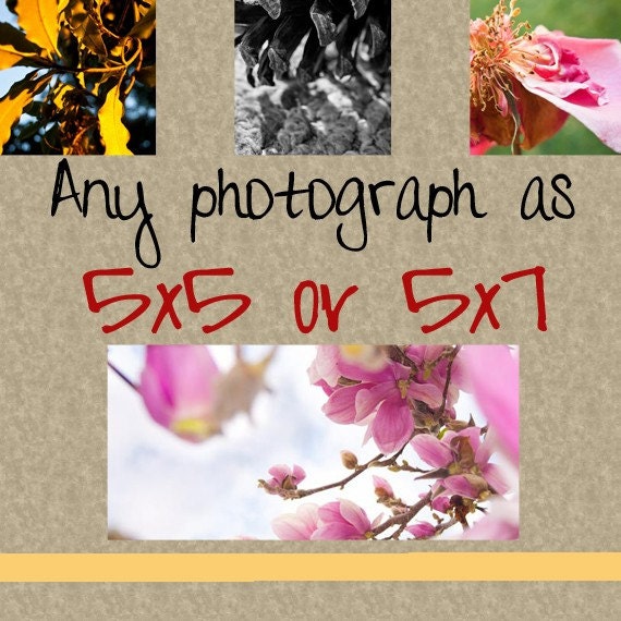 Any image as a 5x5 or 5x7 print. Free domestic shipping.