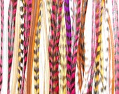 Burgundy 6 Feather Hair Extension Long : Salon Grade - FREE mirco link clamp
