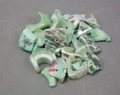Pastel Green Shells