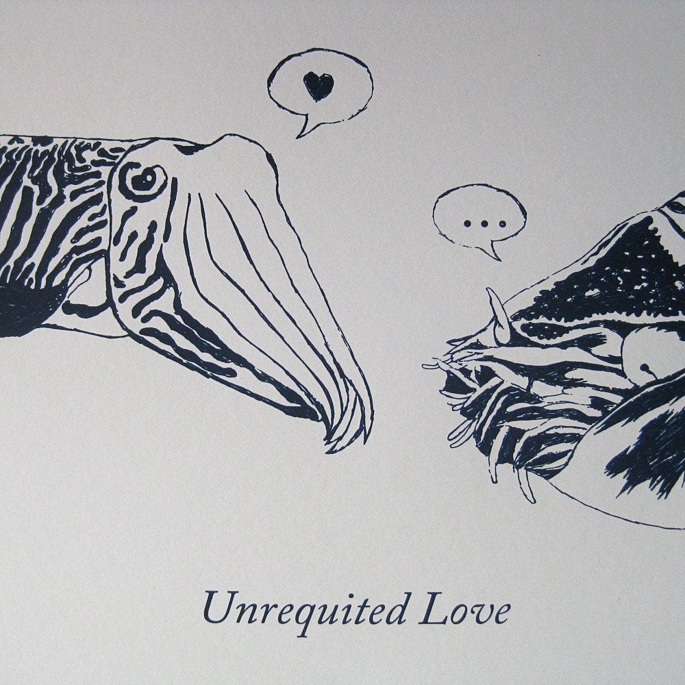 Cuttlefish and Nautilus Screen Print - Unrequited Love