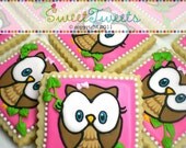 SweetTweets - Look Whoo's One Birthday Girl Owl Cookies - 1 dozen