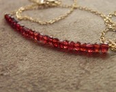 Garnet and Gold Filled Color Block Necklace January and Aquarius Birthstone