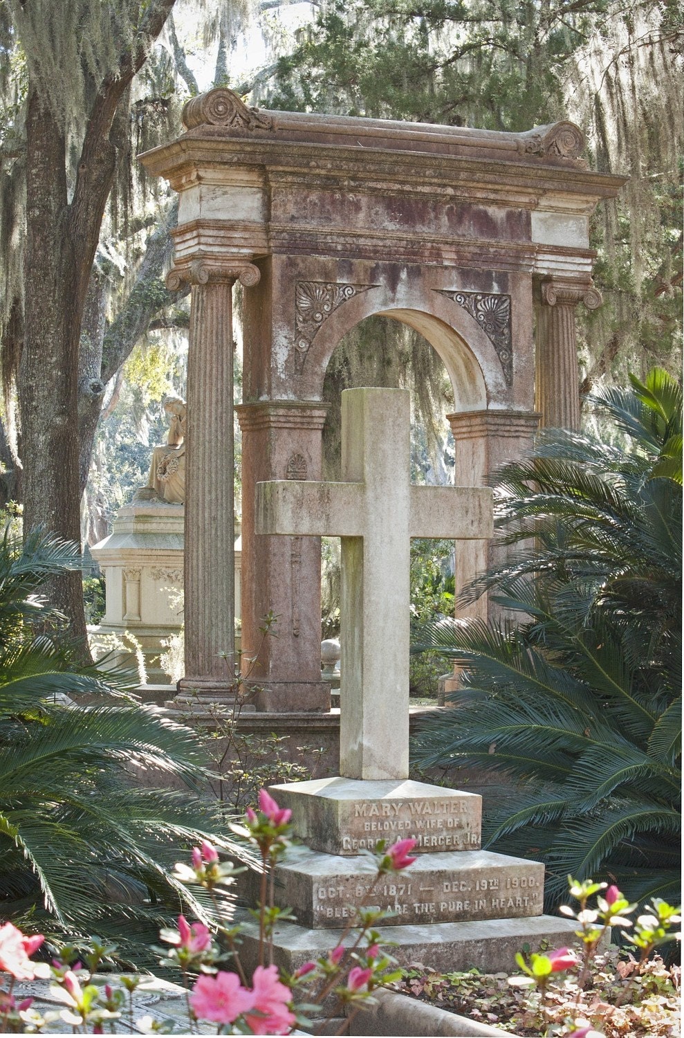 Spring at Bonaventure - An Original Photograph by Melissa Schneider