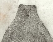 Black Bear