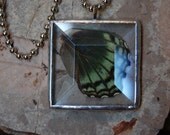 Real Butterfly Wing Necklace in Beveled Glass