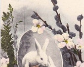 Vintage Easter Post Card Early 1900s epc406