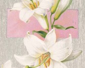 Vintage Easter Post Card Early 1900s epc421