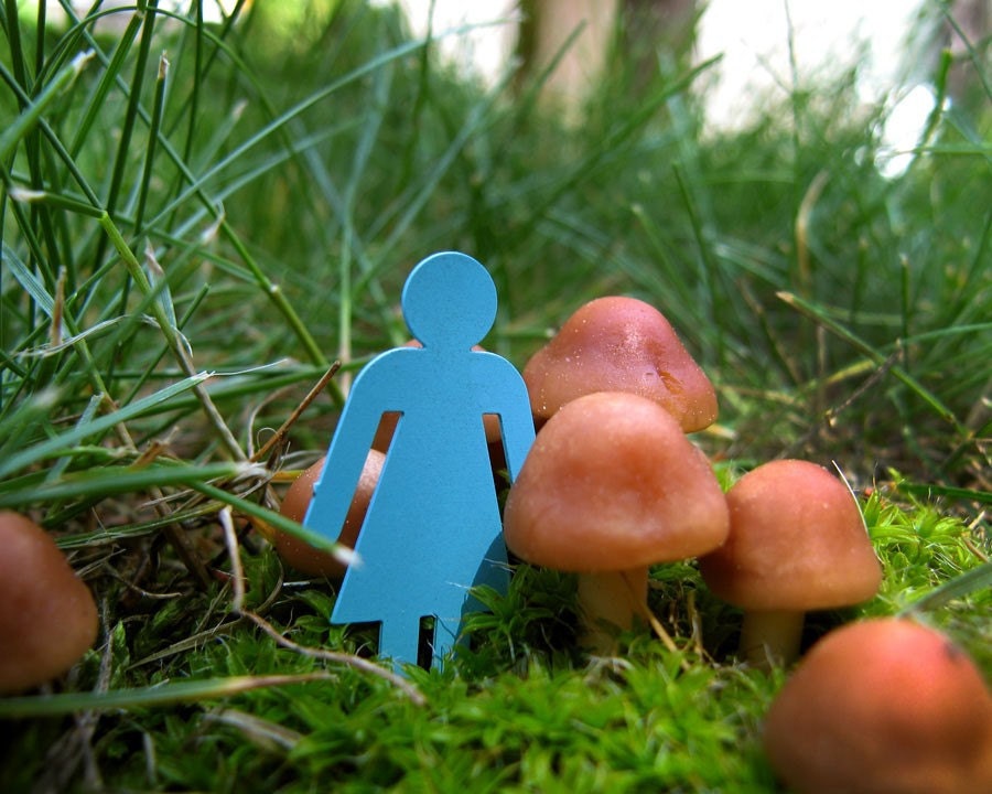 alice mushrooms grass 8X10 art print kitsch nature wonderland