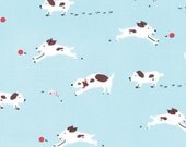 Sherbet Pips Pups Fabric by Aneela Hoey for Moda Cotton Candy Blue , Sale