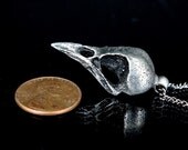 Bird Skull Pendant on 18" Chain - Antique Silver Crow