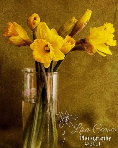 Daffodils in Glass Fine Art Photograph 8x10