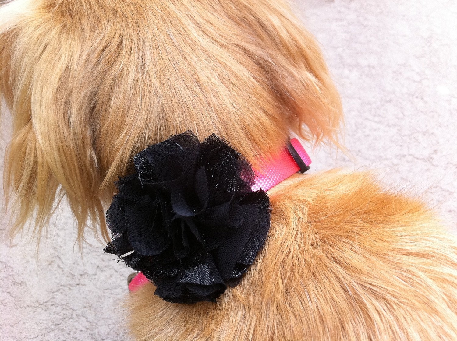 Hot pink adjustable collar with custom flower. Small/Medium