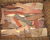 Exotic  Woods Pieces for Intarsia Instrument making or small craft projects