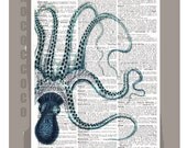 Beautiful OCTOPUS2 - ARTWORK  printed on Repurposed Vintage Dictionary page8 x11 -Upcycled Book Print