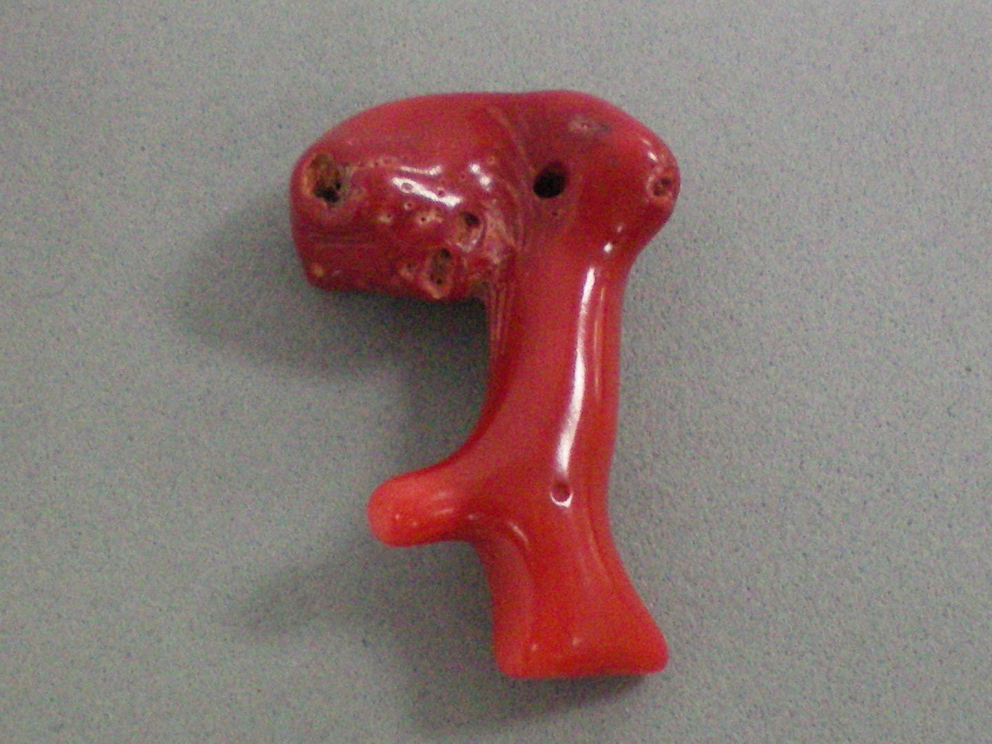Odd Shape Coral