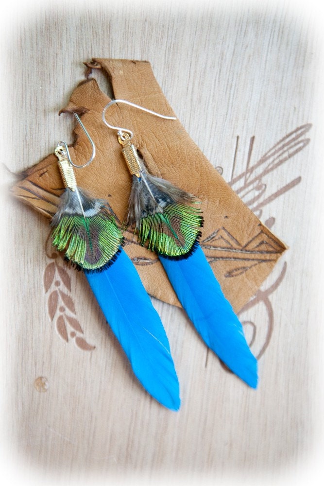 go and see -  blue feather with peacock feather