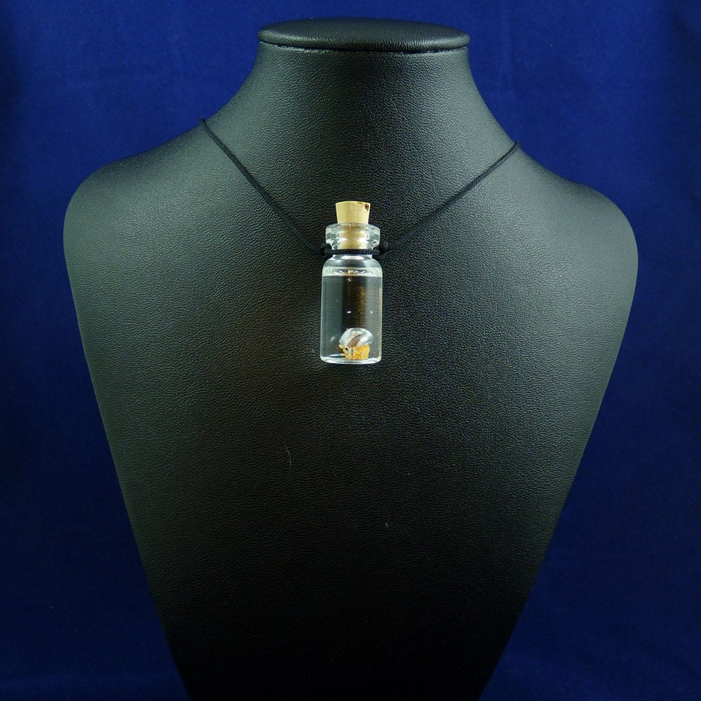 Hermit Crab Specimen Jar Necklace  - Handmade Science Inspired Jewelry