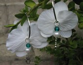 Flower earrings white orchids