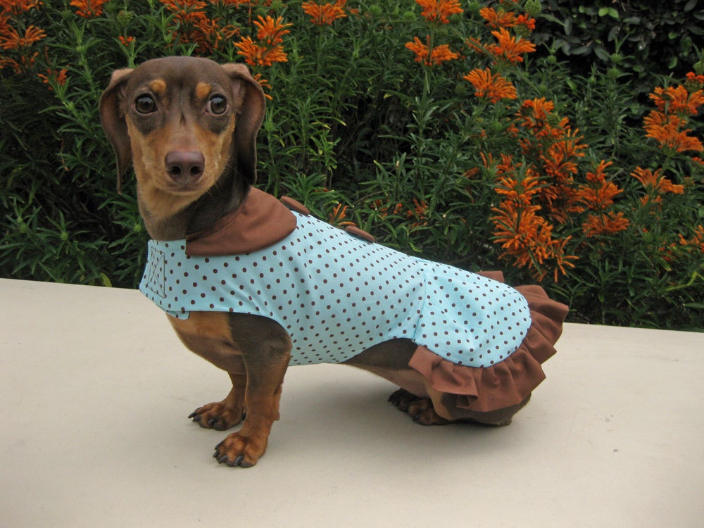 Dog Dress Turquoise Brown Polka Dot