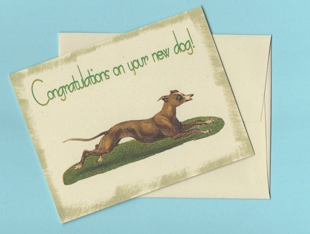 New Dog Congratulations Card