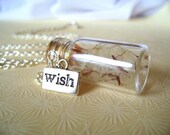 Wishes in the Wind. bottle locket necklace