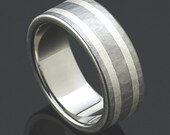 Titanium Ring Brushed Hammered Silver Ring