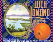 Loch Lomand Orange Crate Label