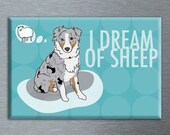 Australian Shepherd Magnet - Blue Merle Aussie - I Dream of Sheep 2x3 Dog Magnet