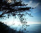 Trees over Horizon Digital Art Photography