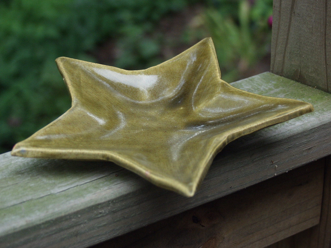Olive Star Plate