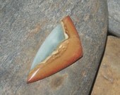 Day Eating Night ... CAB ... succor creek jasper ... no drilled holes ... fabulous ... 46mm taLL